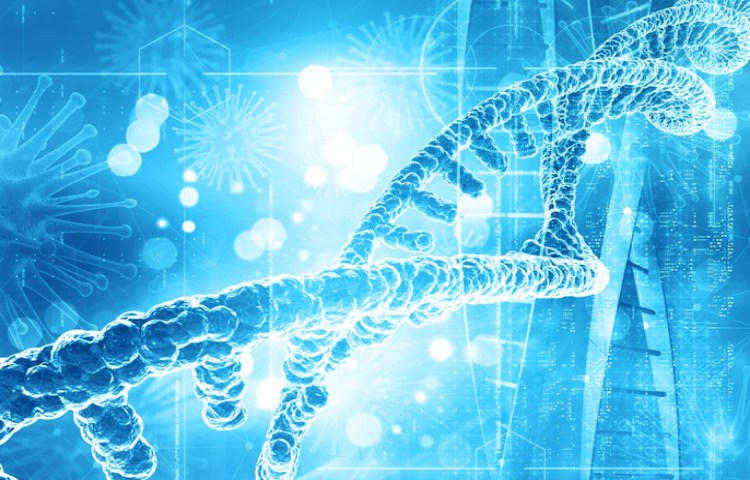 Ejemplos de macromoléculas en la vida cotidiana