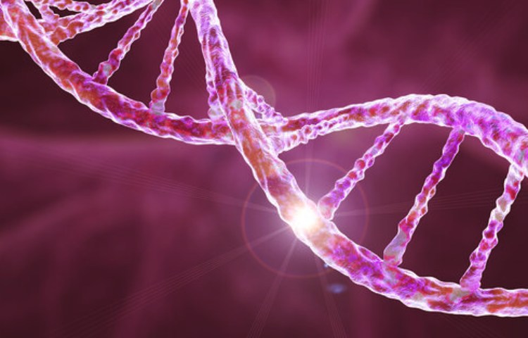 Ejemplos de mutaciones genéticas en el ser humano