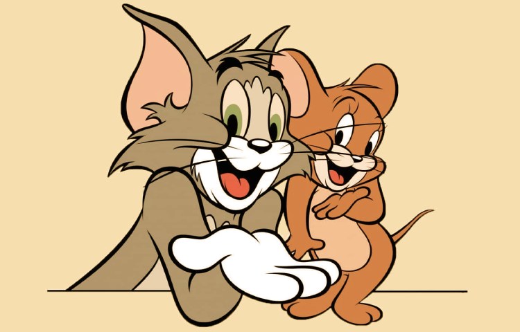 Qué raza es el gato de Tom y Jerry