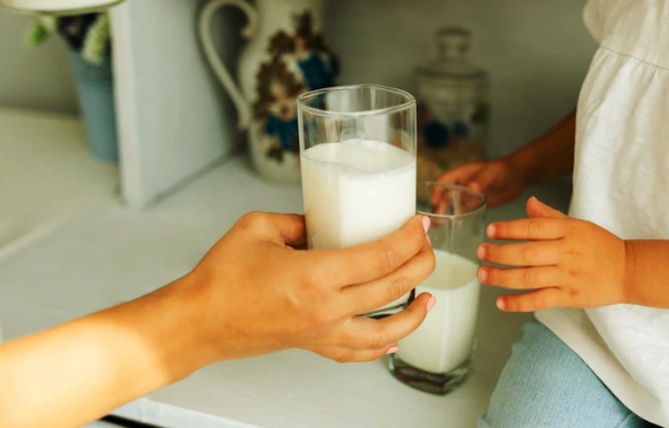Qué tan buena es la leche semidescremada